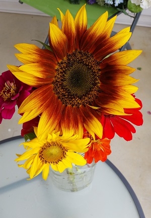 Red sunflower bouquet