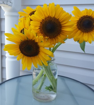 Sunflowers in a Mason Jar